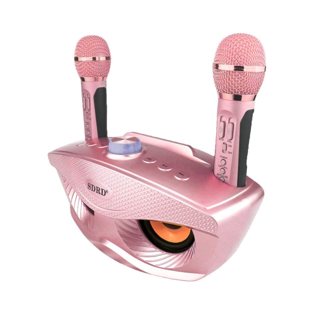 HM2 Wireless Karaoke Speaker SD Dual Wireless Microphone Bluetooth Speaker Mobile Wireless Stereo Black 20W SDRD Speaker Set,A3