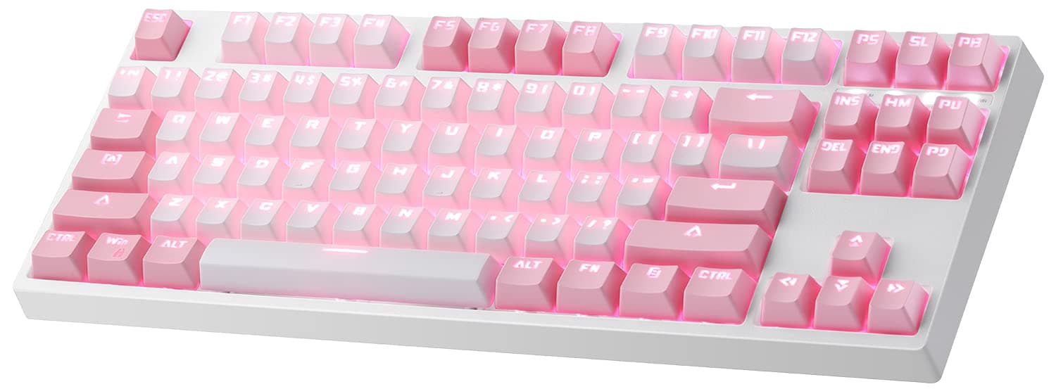 TKL Mechanical Keyboard, Hiwings Compact Pink Gaming Keyboard RGB Rainbow Backlit Wired Keyboard with Blue Switches for Windows, Mac with Type C Ad...