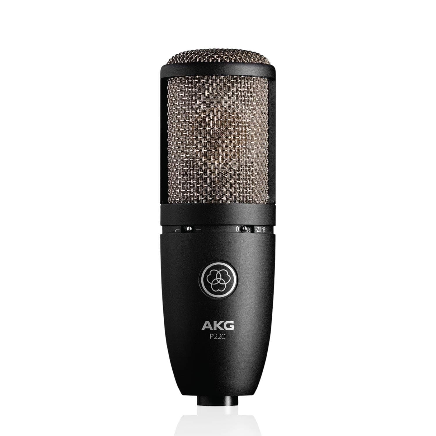 AKG Pro Audio P220 Vocal Condenser Microphone, Black