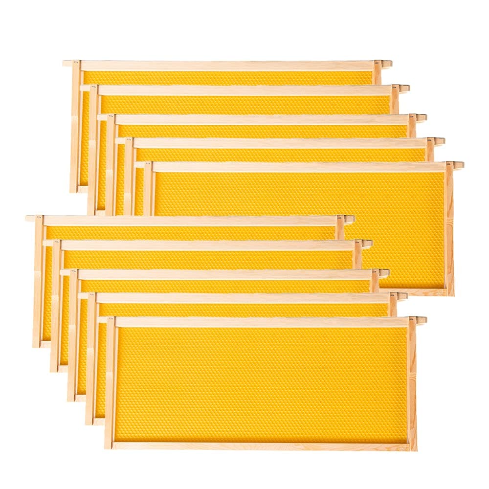 MayBee Hives--Deep or Brood Size Beehive Frames and Foundations,10 Pack Honey Bee Frames with 100% Beeswax Coated Food Grade Foundation Sheets