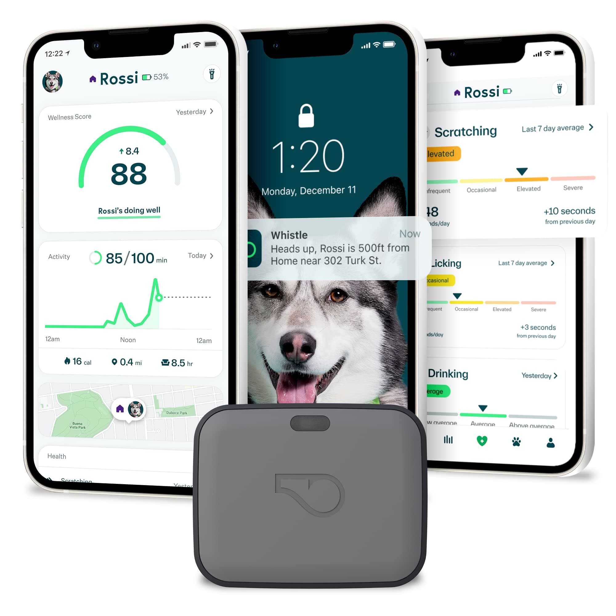 Whistle GPS + Health + Fitness - Ultimate Dog GPS Tracker Plus Dog Health & Fitness Monitor, Waterproof, Safe Place Escape Alerts, Built-in Night L...