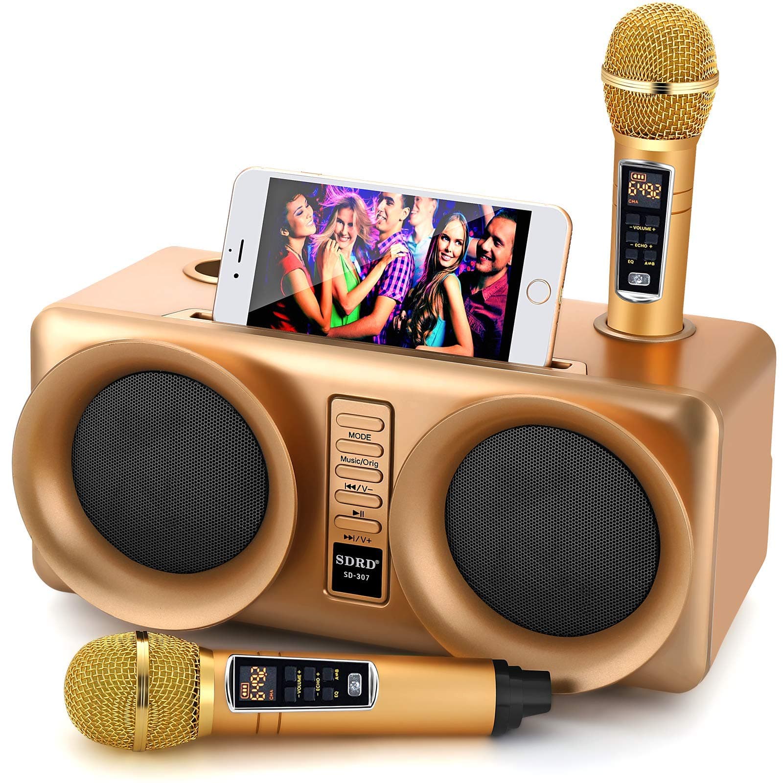 Karaoke Machine, ALPOWL Portable PA Speaker System With 2 Wireless Microphone for Home Party, Meeting, Wedding, Church, Picnic, Outdoor/Indoor (Gold)