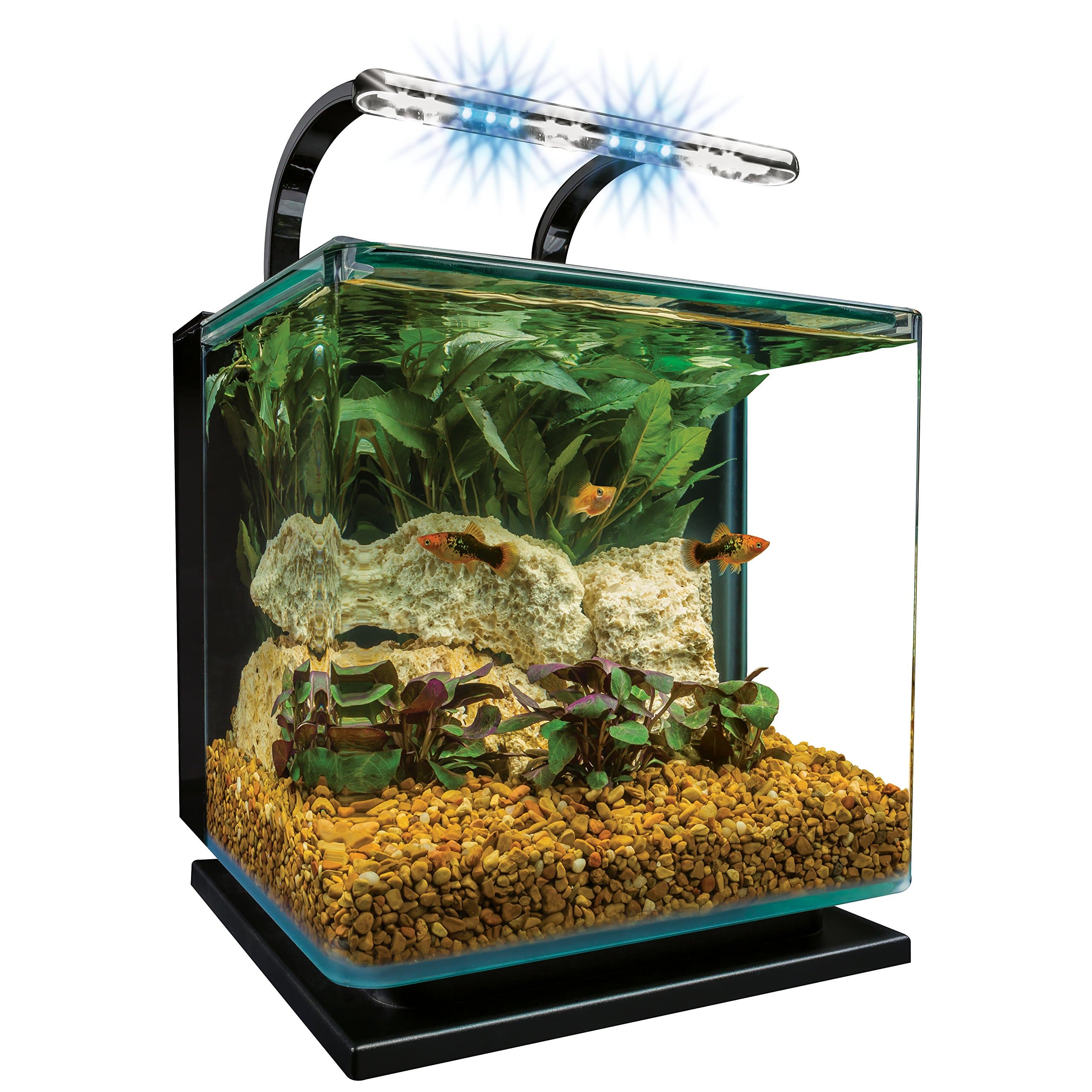 Marineland Contour 3 aquarium Kit 3 Gallons, Rounded Glass Corners, Includes LED Lighting