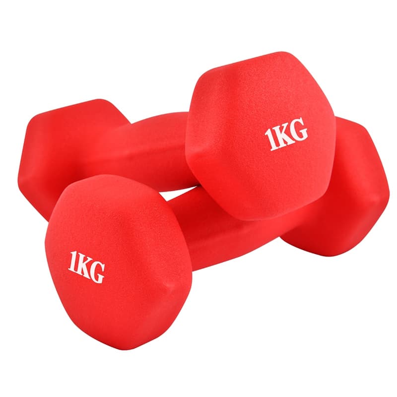 Bộ 2 tạ tay Thái Lan 1kg cao cấp Model Q304 - Q314 tập Gym tại nhà hàng nhập khẩu - Đỏ
