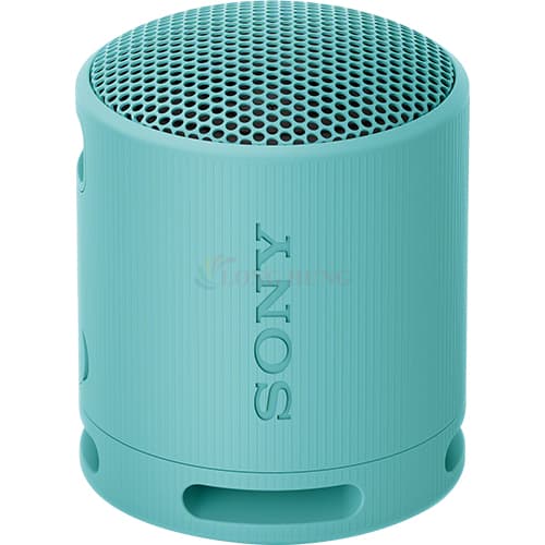 Loa Bluetooth Sony SRS-XB100 - Hàng chính hãng - Xanh Dương