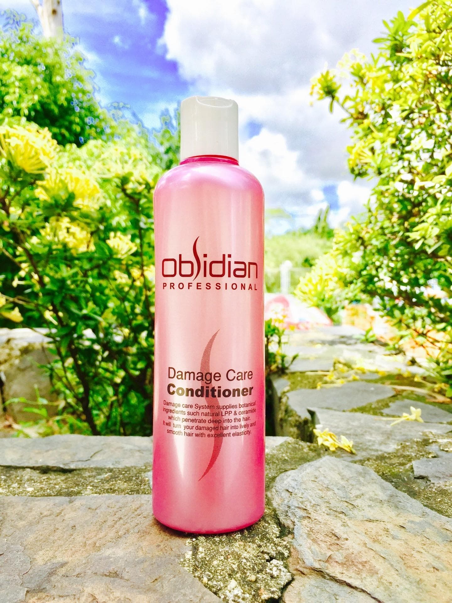 Dầu gội Obsidian Damage Care Hàn Quốc 300ml
