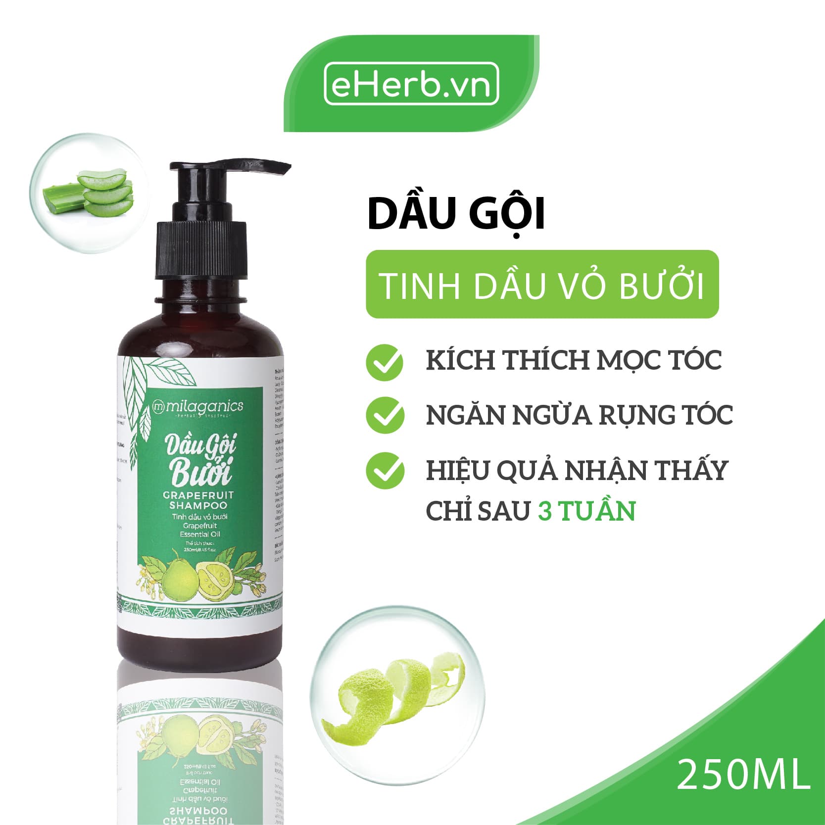 Dầu Gội Bưởi Làm Sạch Da Đầu & Kích Thích Mọc Tóc Từ Tinh Dầu Bưởi Nguyên Chất MILAGANICS 250ml (Chai)