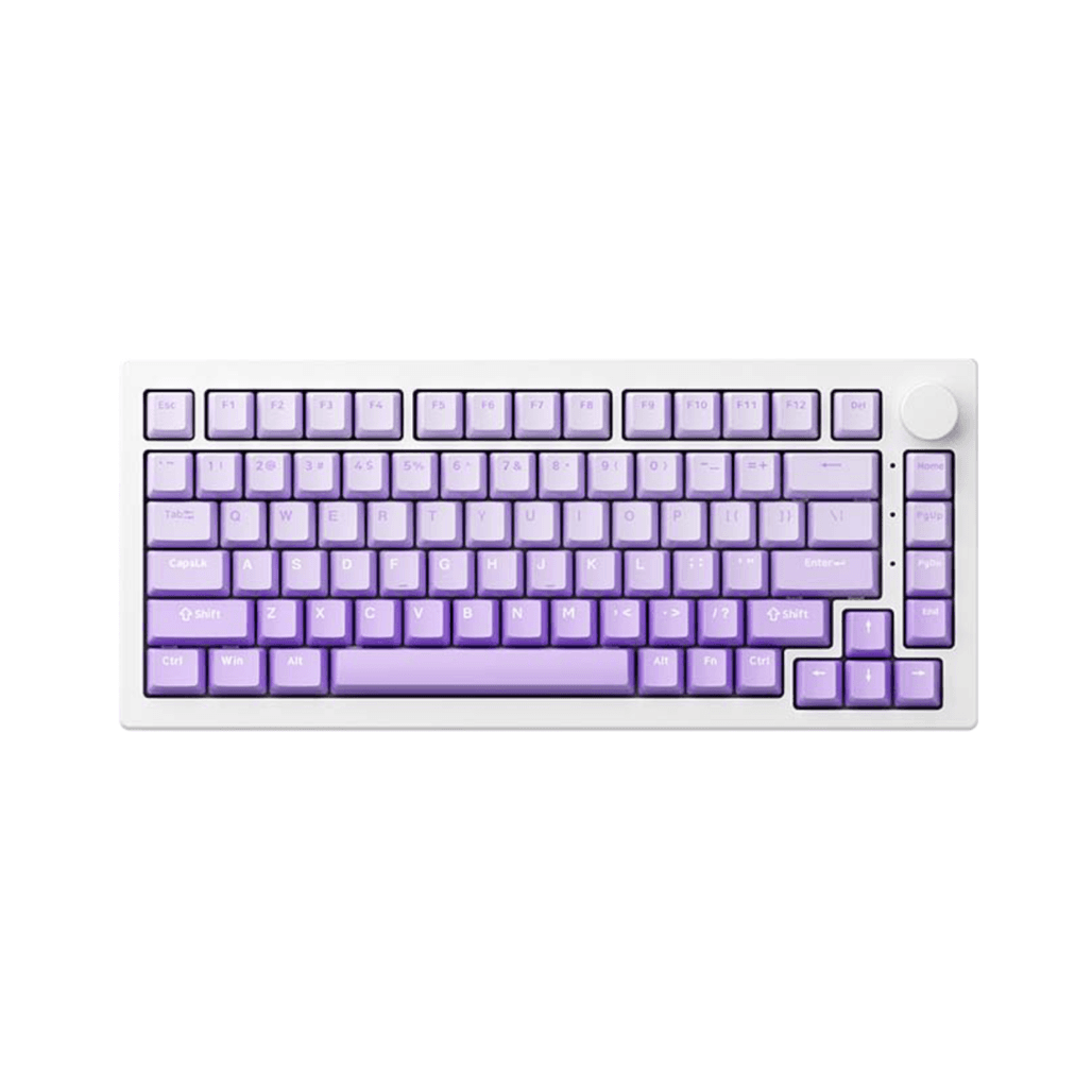 Bàn phím cơ không dây Bluetooth Akko 5075 V3 White+Purple Gradient