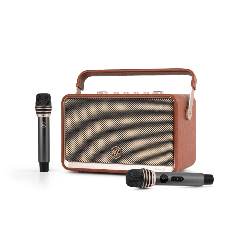 Loa Bluetooth Alpha Works W99 (kèm 2 micro)