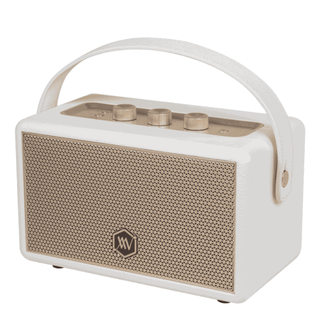 Loa Bluetooth Alpha Works AW-W88