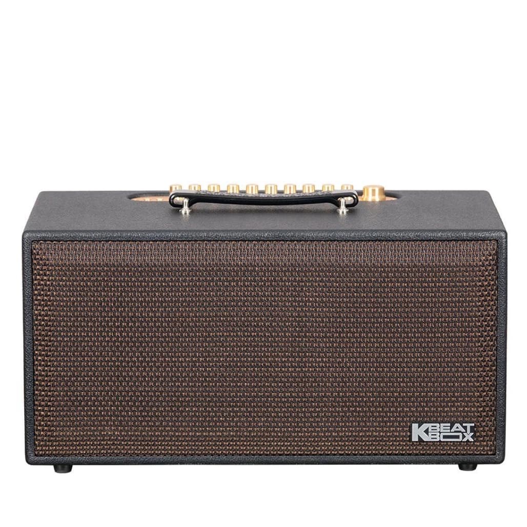 Loa Karaoke xách tay ACNOS CS450SR - V2