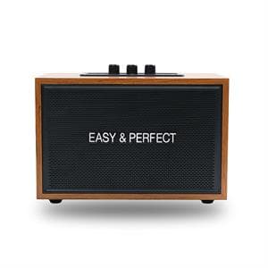 Loa karaoke xách tay Easy & Perfect Lexo 15W Nâu