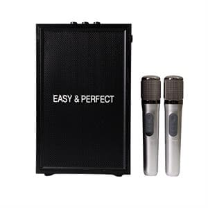 Loa karaoke xách tay Easy & Perfect EP-Vector 20W Đen