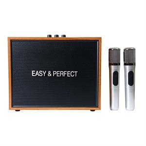Loa karaoke xách tay Easy & Perfect Strenght 20W